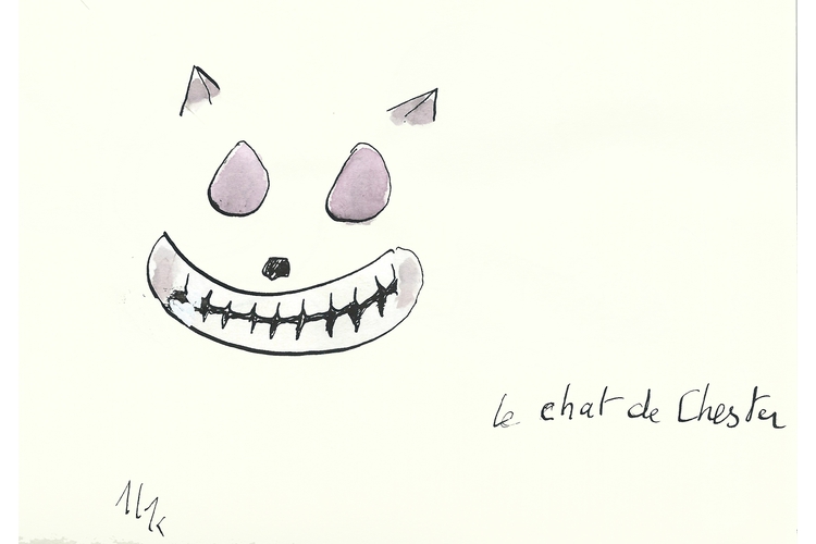 Chat de Chester 1