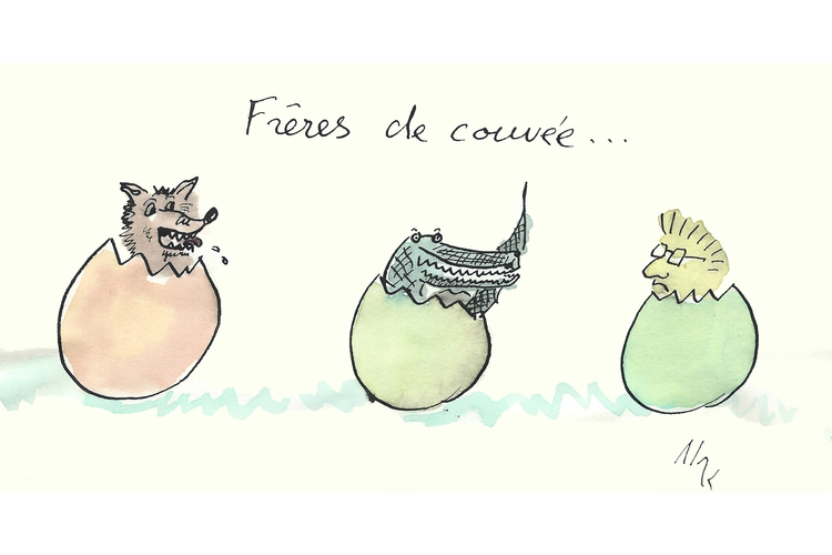 Frères de couvée 2