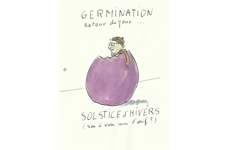 Germination